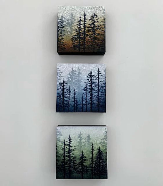 "Midnight Bluewood"